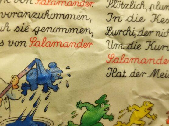 Pocket – Bild 6