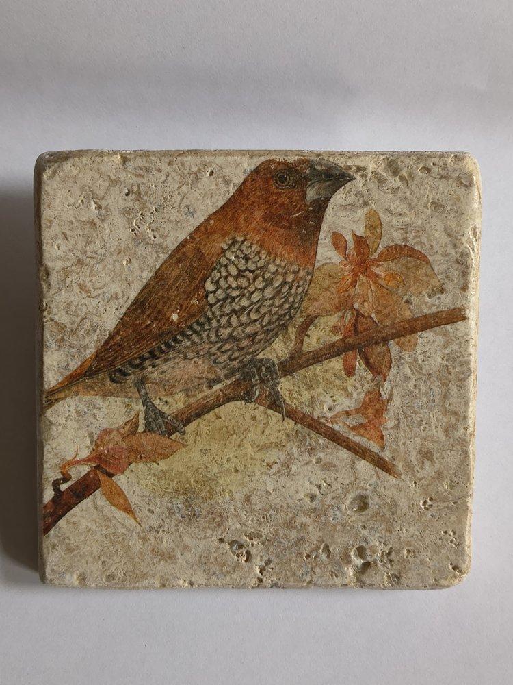 IMG_20251229_111307356 IMG_20251229_111307356