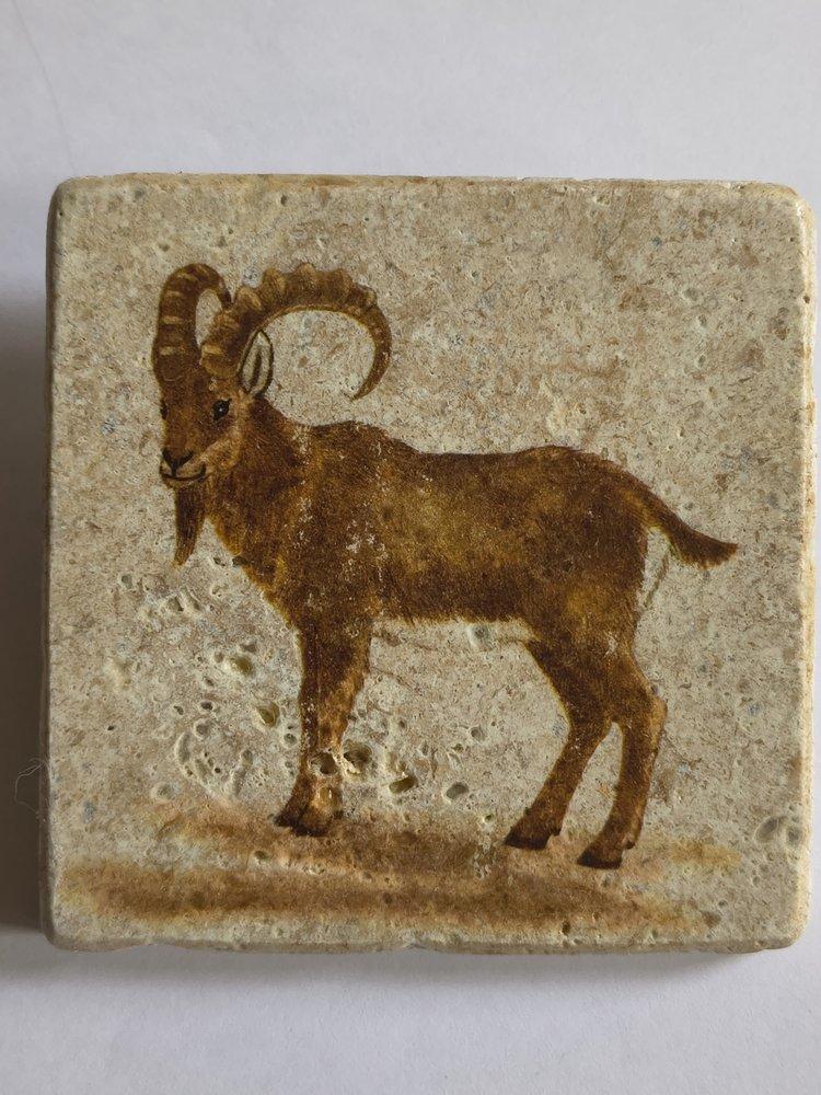 IMG_20251229_112047541