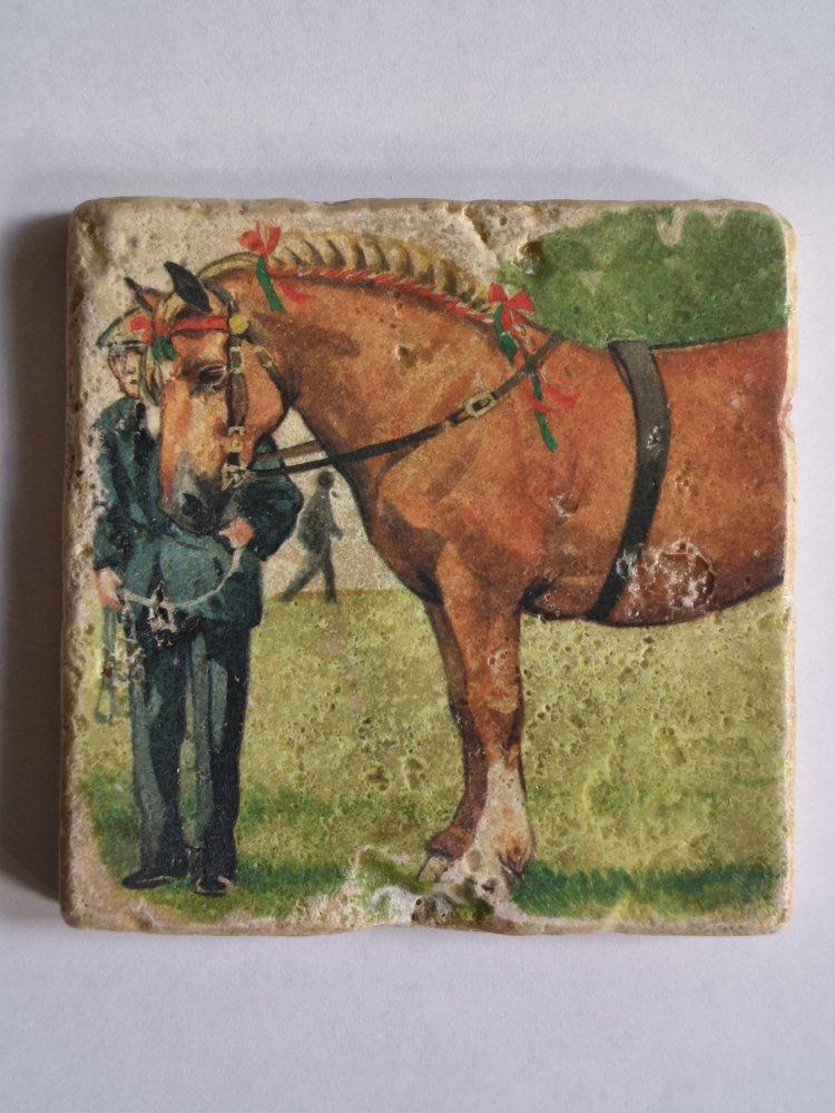 IMG_20251229_113623637