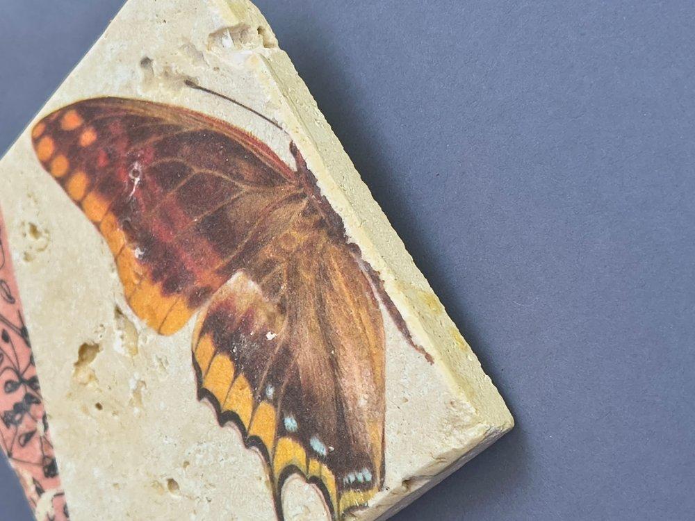 Liese – Bild 5